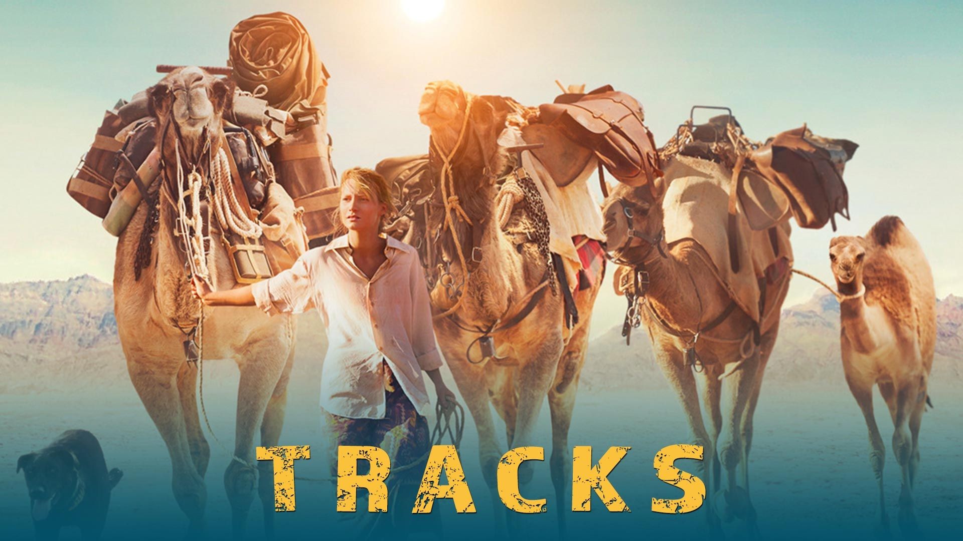 Tracks