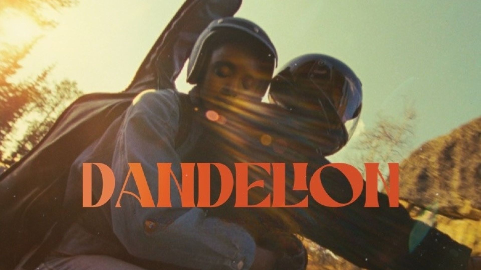 Dandelion